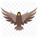 Faucon Oiseau Aigle Icône