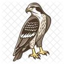 Faucon Oiseau Aigle Icône