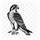Faucon Oiseau Aigle Icône