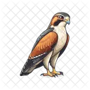 Aigle Oiseau Aigle Volant Icône