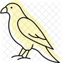 Faucon Oiseau Predateur Icône