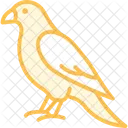 Faucon Oiseau Predateur Icône
