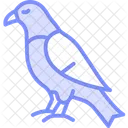 Faucon Oiseau Predateur Icône
