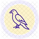 Faucon Oiseau Predateur Icône