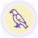 Faucon Oiseau Predateur Icône
