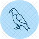 Faucon Oiseau Predateur Icône
