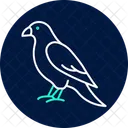 Faucon Oiseau Predateur Icône