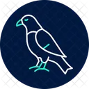 Faucon Oiseau Predateur Icône
