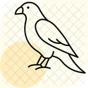 Faucon Oiseau Predateur Icône