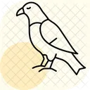 Faucon Oiseau Predateur Icône