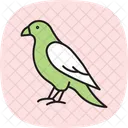 Faucon Oiseau Predateur Icône