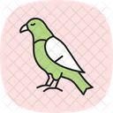 Faucon Oiseau Predateur Icône
