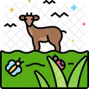 Fauna  Icon
