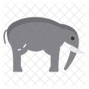 Fauna En Peligro De Extincion Conservacion De Elefantes Manadas De Elefantes Africanos Icono