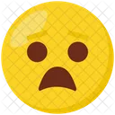 Fearful  Icon