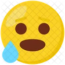Fearful  Icon