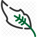 Feather Bird Plume Icon