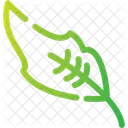 Feather Bird Plume Icon
