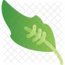 Feather  Icon