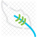 Feather Bird Plume Icon