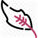 Feather Bird Plume Icon