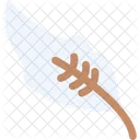 Feather Bird Plume Icon