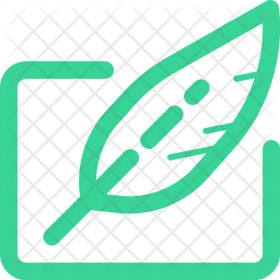 Feather Icon