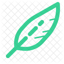Feather Icon