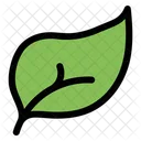 Feather Quill Write Icon