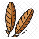 Cultures Thanksgiving Peacock Icon