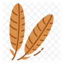 Cultures Thanksgiving Peacock Icon