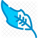 Feather  Icon
