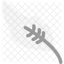 Feather  Icon