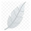 Feather  Icon