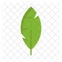 Feather Ink Write Icon