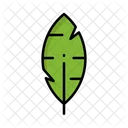Feather  Icon