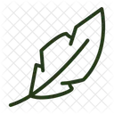 Feathers  Icon