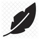 Feathers  Icon
