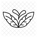 Feder  Symbol