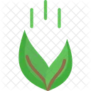 Go Greenm Feeding Plant Go Green Icon