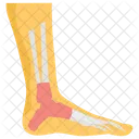 Feet Extremities Hoof Icon