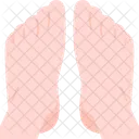 Feet  Icon