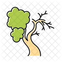Feigenbaum Baum Alt Symbol