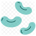 Feijao Icon