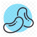 Feijao Feijao Comida Icon