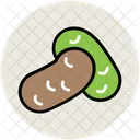Feijao Planta Semente Icon