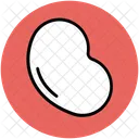Feijao Planta Semente Icon