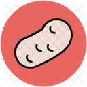 Feijao Planta Semente Icon