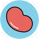 Feijao Planta Semente Icon