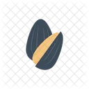 Feijao Grao Girassol Icon